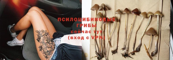 мдпв Магас