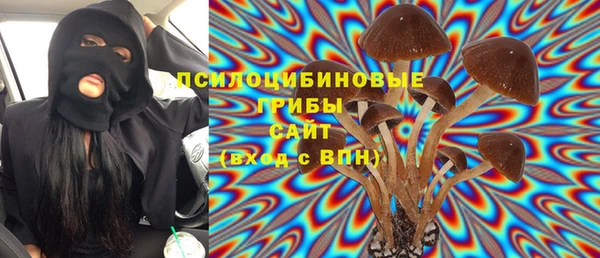 мдпв Магас