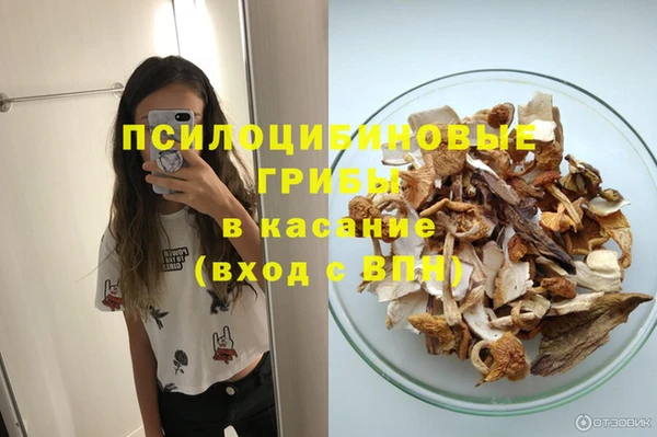 индика Усолье-Сибирское
