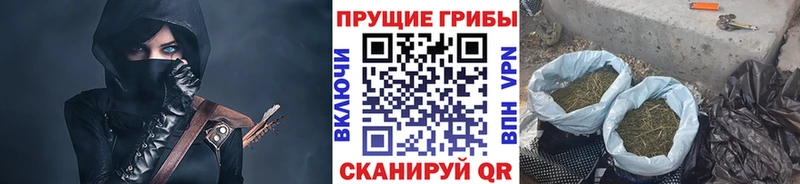 дарк нет официальный сайт  купить закладку  Зубцов  Псилоцибиновые грибы Cubensis 